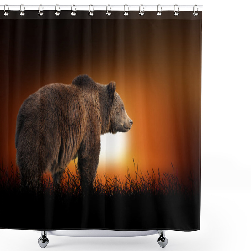 Personality  Bear On The Background Of Sunset Shower Curtains