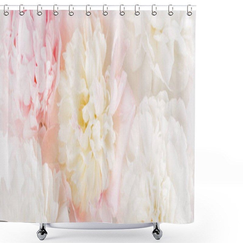 Personality  Beautiful Aromatic Fresh Blossoming Tender Pink Peonies Texture, Close Up View. Romantic Background Shower Curtains