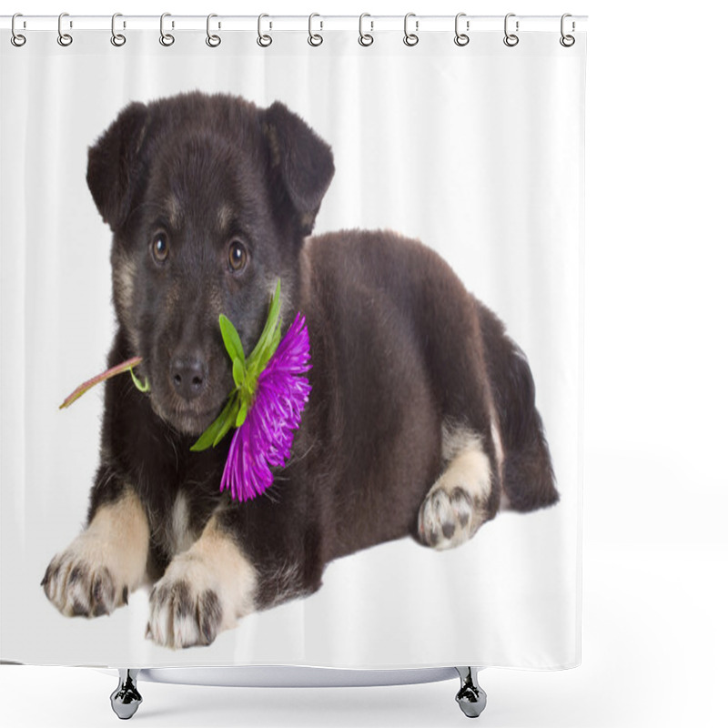 Personality  Puppy Holding Flower Shower Curtains