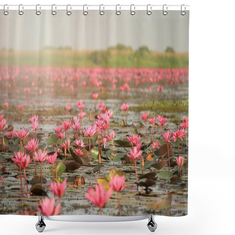 Personality  Wonderful Nature Landscape Red Pink Lotus (water Lily) Flower Lake Sea In The Morning, Beautiful And Famous Tourist Attractive Landscape Of Kumphawapi, Udon Thani, Thailand.  Shower Curtains