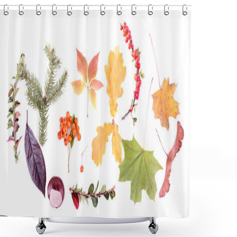 Personality  Leaves, Berries And Nuts Shower Curtains