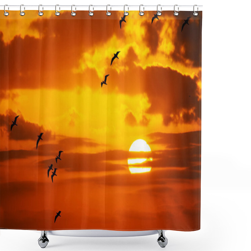 Personality  Flock Of Seagulls Flying In The Sun Shower Curtains