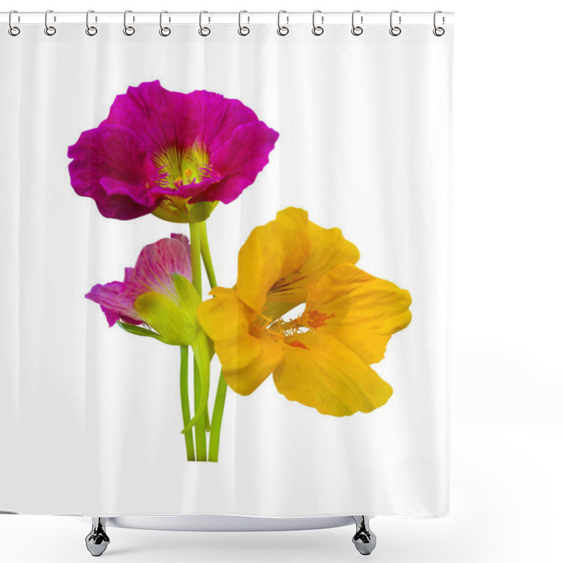 Personality  Nasturtium. Nasturtium Flowers. Nasturtium Flowers Isolated On W Shower Curtains