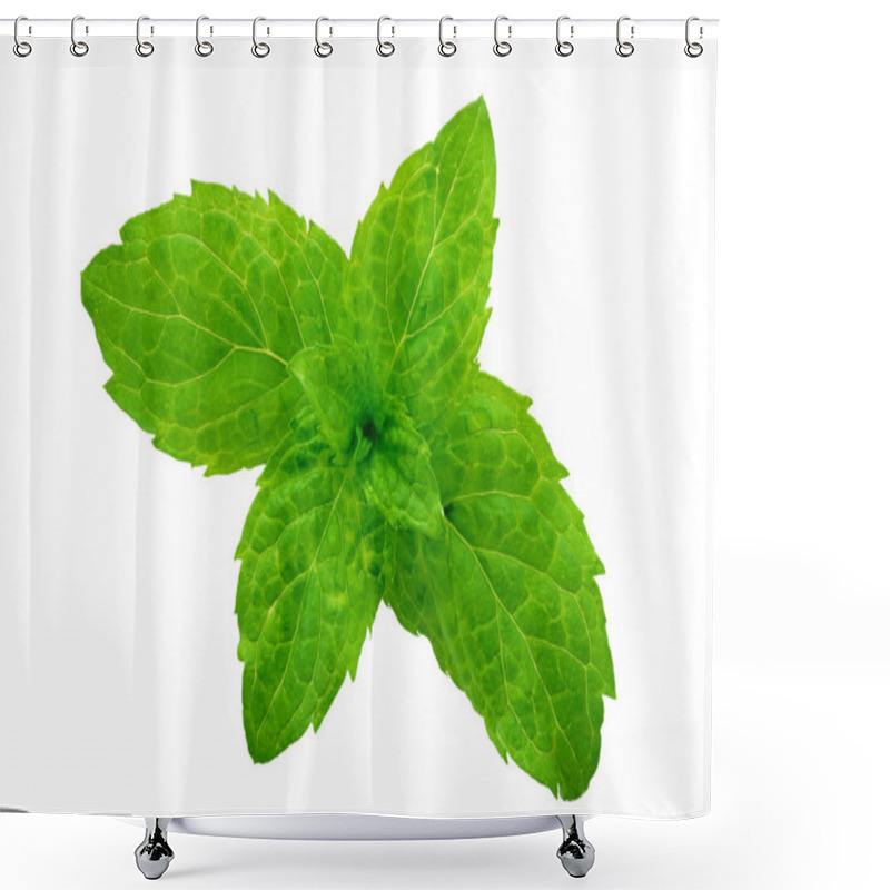 Personality  Sheets Of Mentha Rotundifolia Shower Curtains