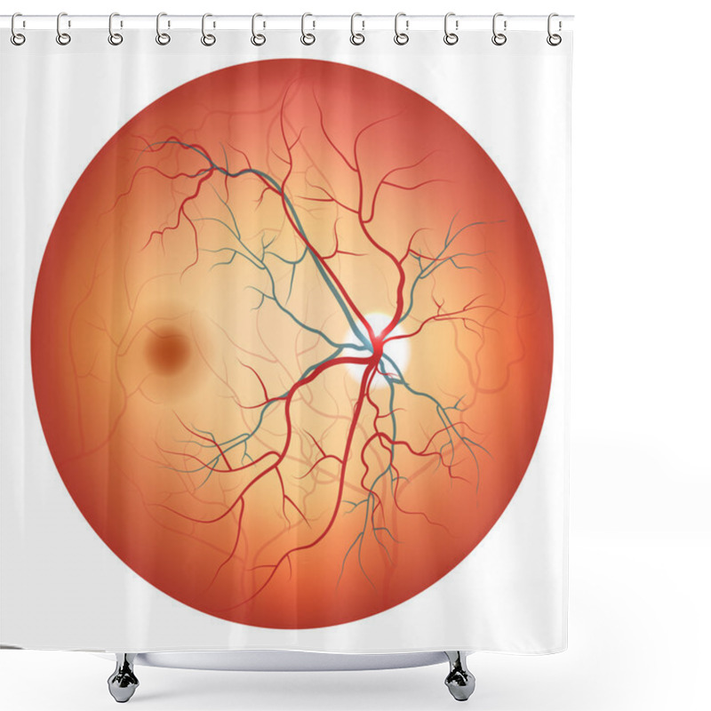 Personality  Human Eye Anatomy Shower Curtains