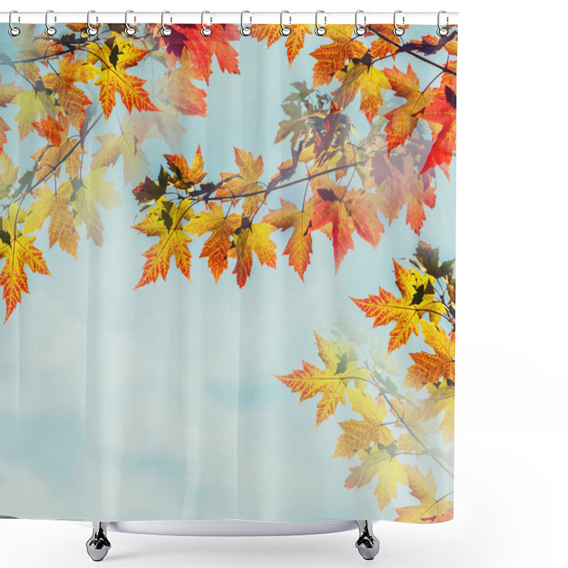 Personality  Autumn Leaves On Blue Sky Background Shower Curtains