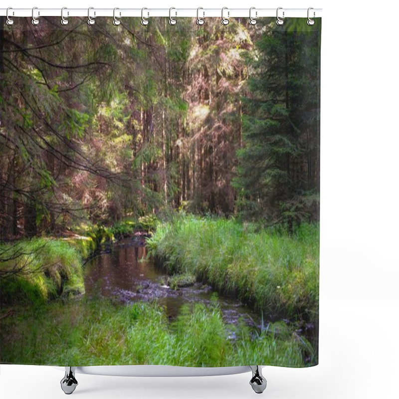 Personality  Rejviz, Czechia - A Peaceful Forest Scene With A Flowing Stream, Surrounded By Green Grasses And Tall Trees, Capturing The Natural Beauty Of The Wilderness. Shower Curtains