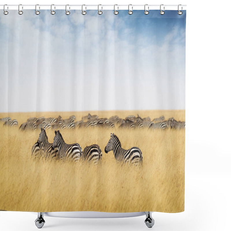 Personality  Zebras Grazing On Tall Grass Shower Curtains