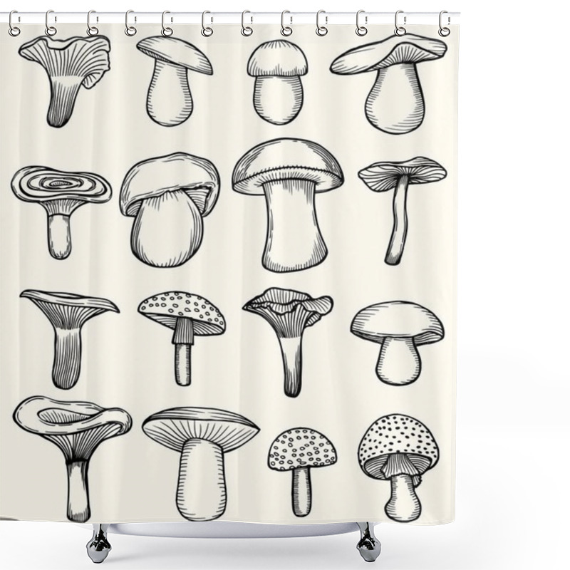 Personality  Set Of Mushroom Illustration Shower Curtains