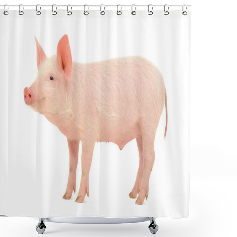 Personality  Pig On White Shower Curtains