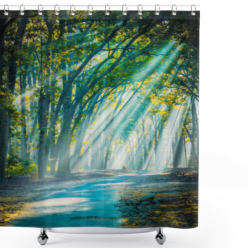 Personality  Road To Home. Sunrays With Mist Appearing Shower Curtains