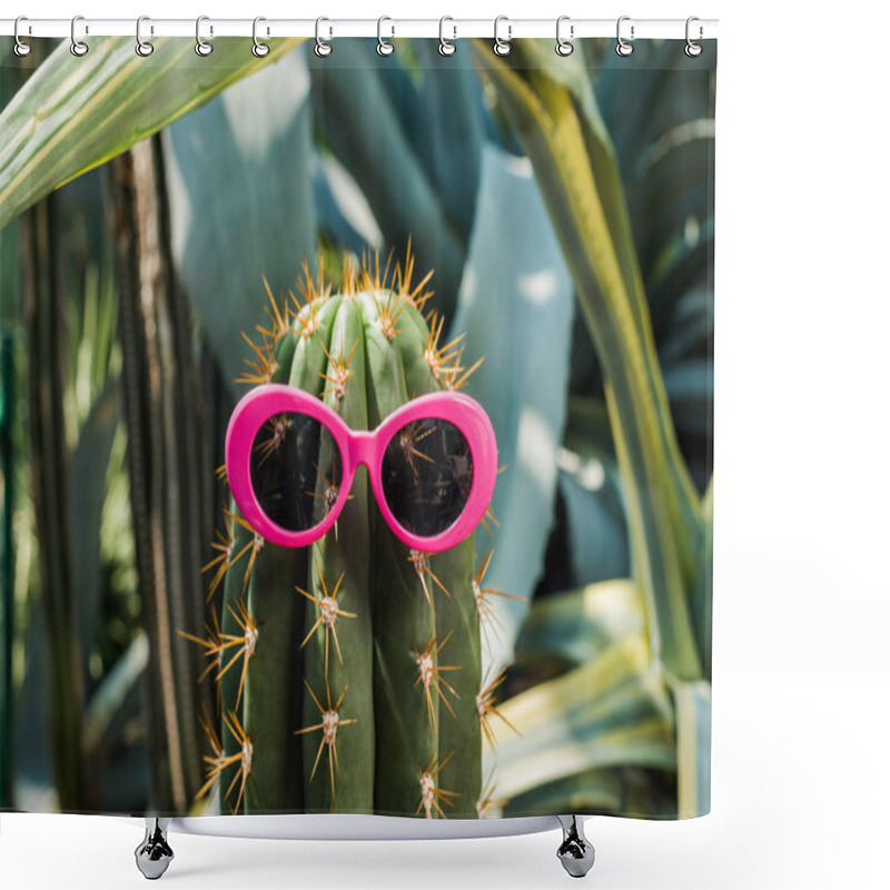 Personality  Close-up View Of Beautiful Green Cactus With Pink Sunglasses In Greenhouse    Shower Curtains