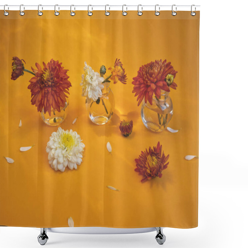 Personality  Rare Flower. Brown Daisy. Chrysanthemum On Orange Background. Autumn Daisy Flowers Glass. Floral Arrangement. Earth Tones. Warm Light. Fall Flowers Concept. Card, Layout. Autumn Aesthetic. Vintage Flowers. Vintage Background. Shower Curtains