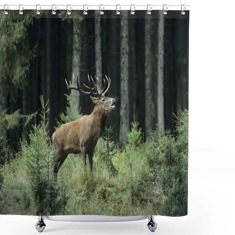 Personality  Elk Bugling Shower Curtains