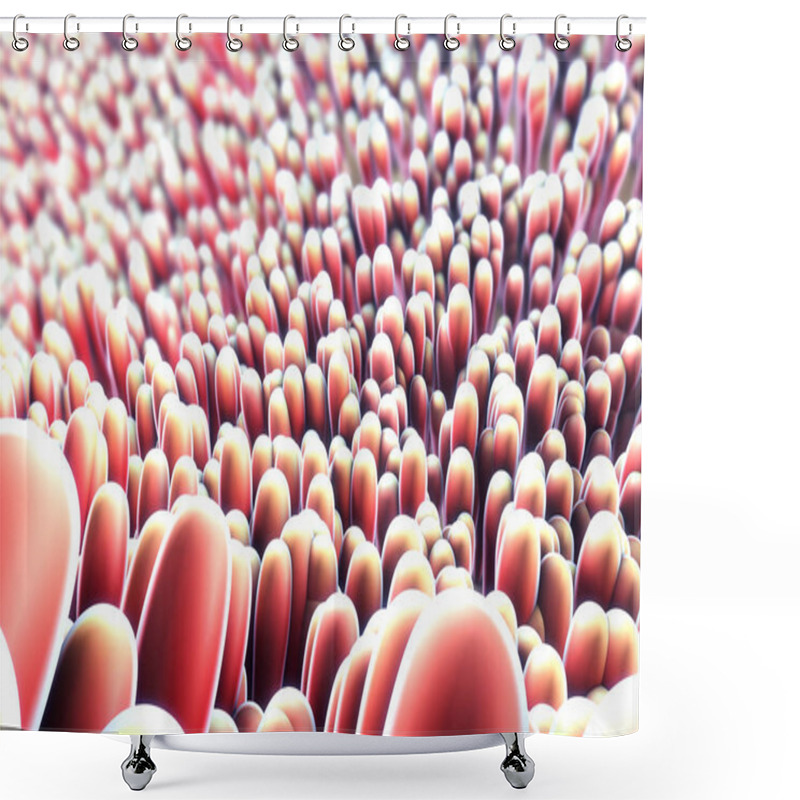 Personality  3d Illustration Of Microscopic Closeup Of Intestine Villus Shower Curtains