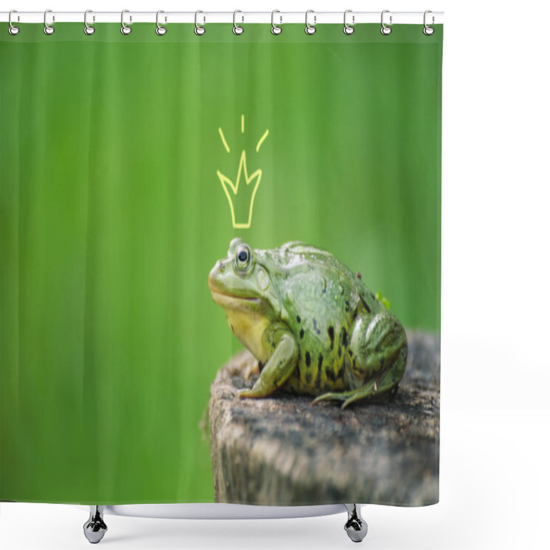 Personality  Cute Frog Princess Or Prince. Toad Painted Crown, Shooting Outdoor Shower Curtains