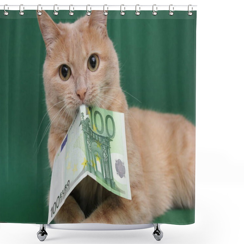 Personality  A Red Cat Holds A 100 Euro Bill In Its Teeth. The Concept Of Financial Crisis And Instability. Shower Curtains