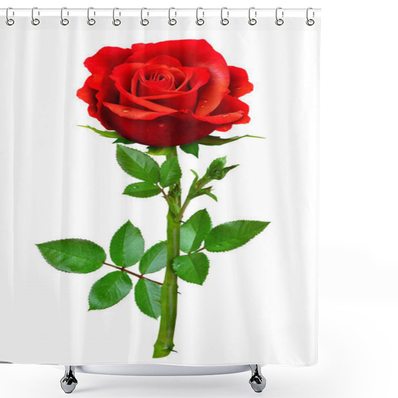 Personality  Single Beautiful Red Rose Shower Curtains