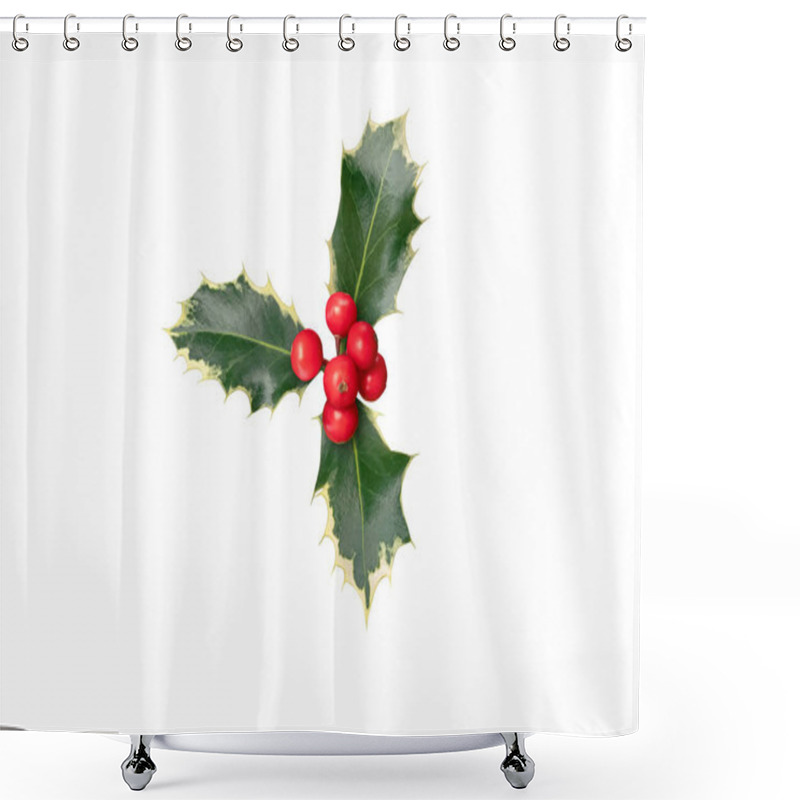 Personality  Christmas Holly Branch With Red Berries And Glossy Prickly Green Leaves With White Margins. Ilex Aquifolium Christmas Decoration Plant Isolated On White.  Shower Curtains