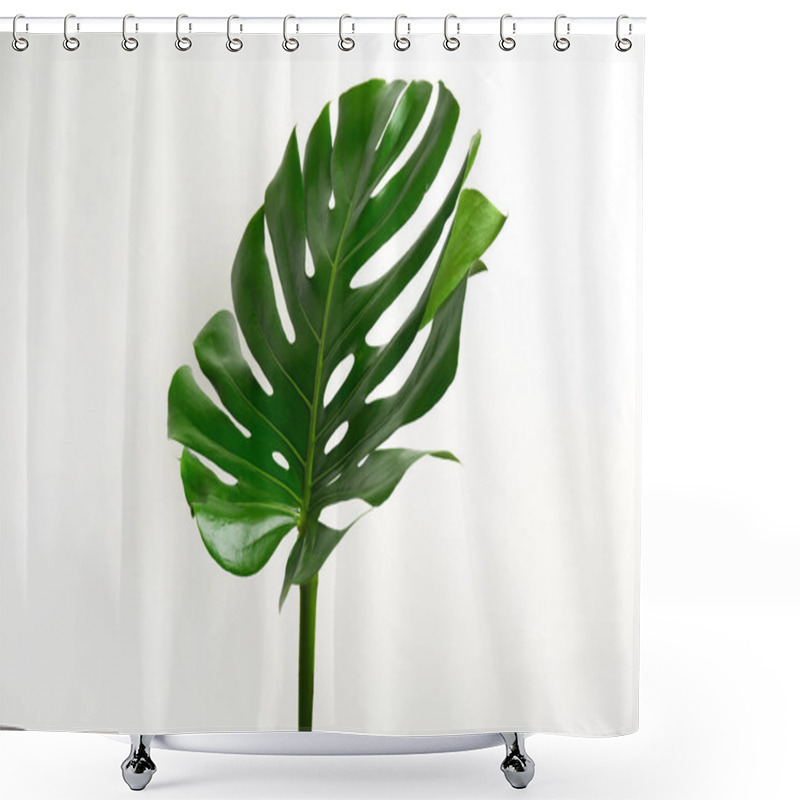 Personality  Beautiful Monstera Leaf On White Background. Tropical Plant Shower Curtains