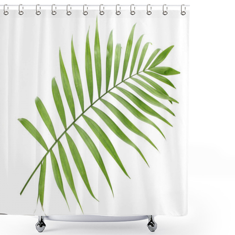 Personality  Beautiful Green Palm Leaf Isolated On White Shower Curtains