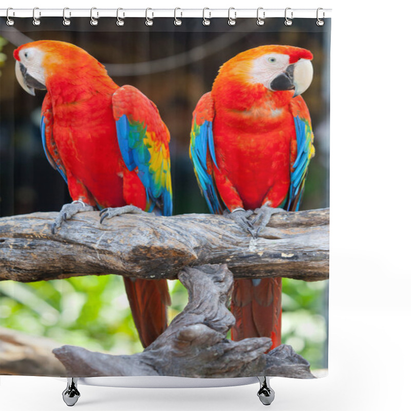 Personality  Scarlet Macaw Shower Curtains