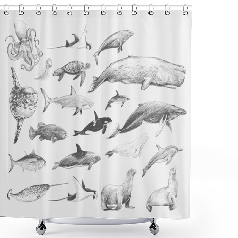 Personality  Illustration Drawing Style Of Marine Life Collection Shower Curtains