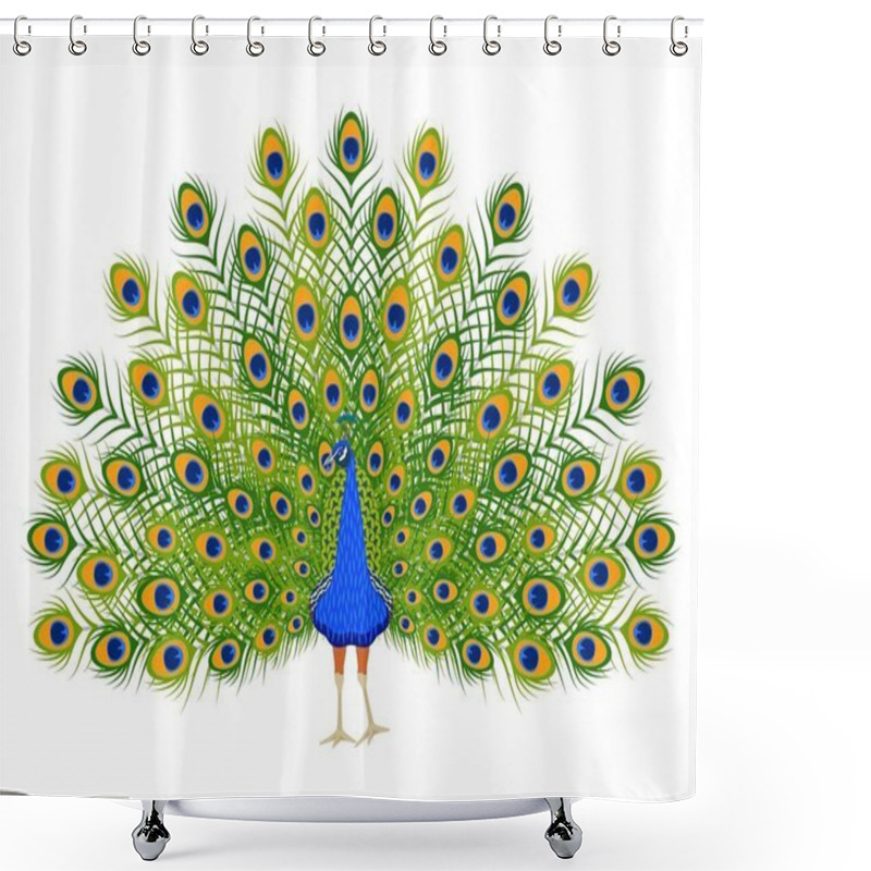 Personality  Cartoon Peacock. Beautiful Bird With Ornamental Feathers Shower Curtains