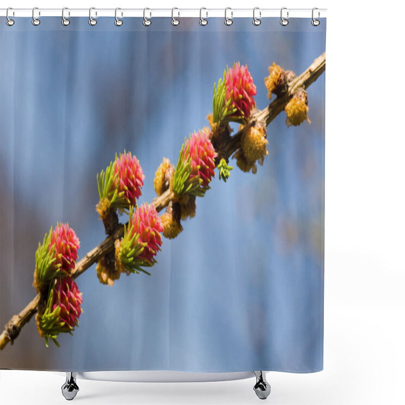 Personality  Spring Diagonal Shower Curtains