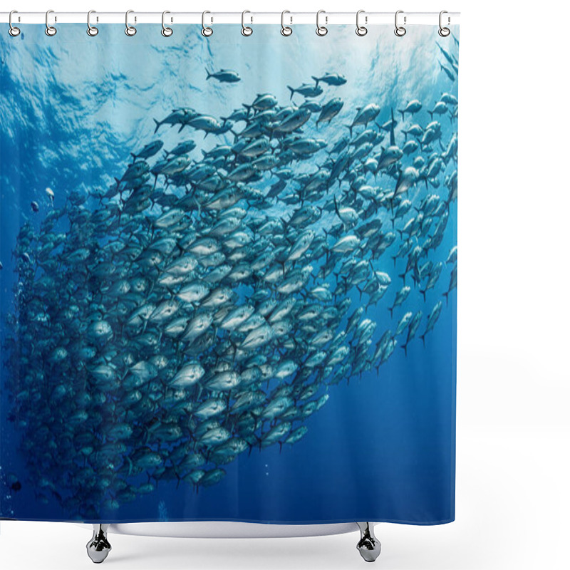 Personality  A School Of Bigeye Trevally Shower Curtains