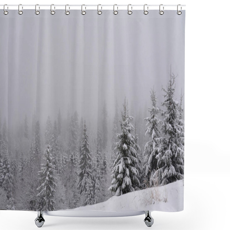 Personality  A Beautiful Shot Of The Thick Forest In Winter Shower Curtains