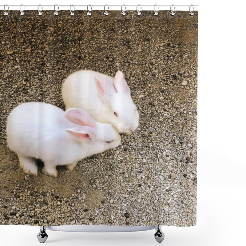 Personality  White Rabbit On A Green Background Shower Curtains