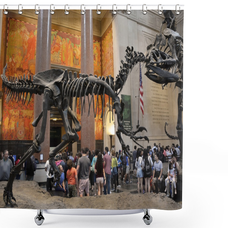 Personality  Entrance To The Famous American Museum Of Natural History Shower Curtains