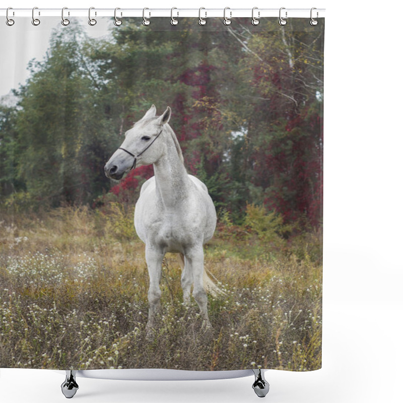 Personality  Gray Horse Standing In The Forest On The Green Grass Near The Trees Shower Curtains