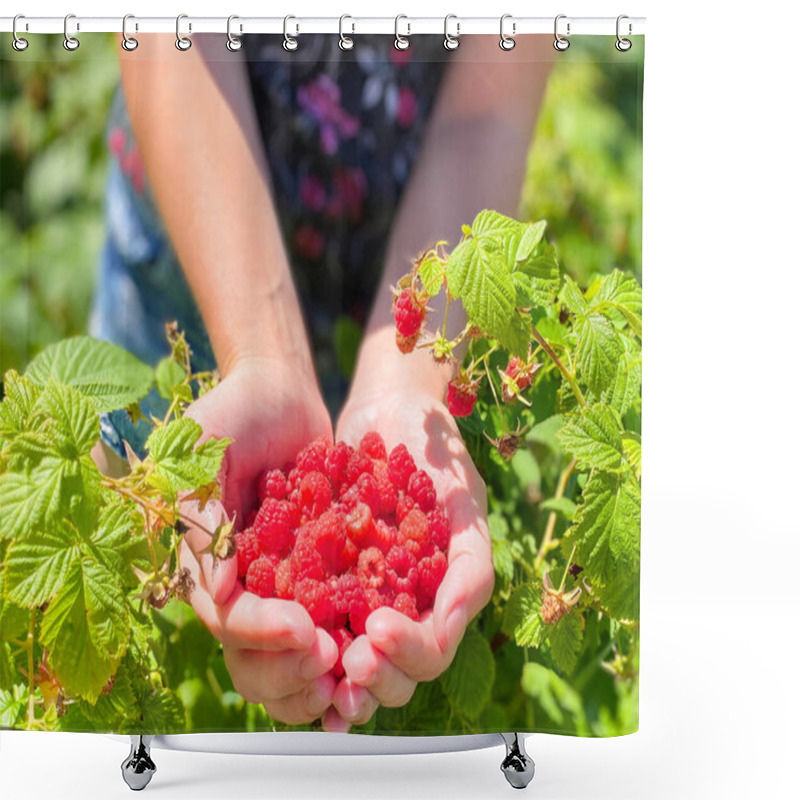 Personality  Ripe Bright Raspberries In The Palms Of A Female Hand. Free Space Defocus Light Background. The Concept Of Healthy Proper Fortified Nutrition And Agriculture. Shower Curtains