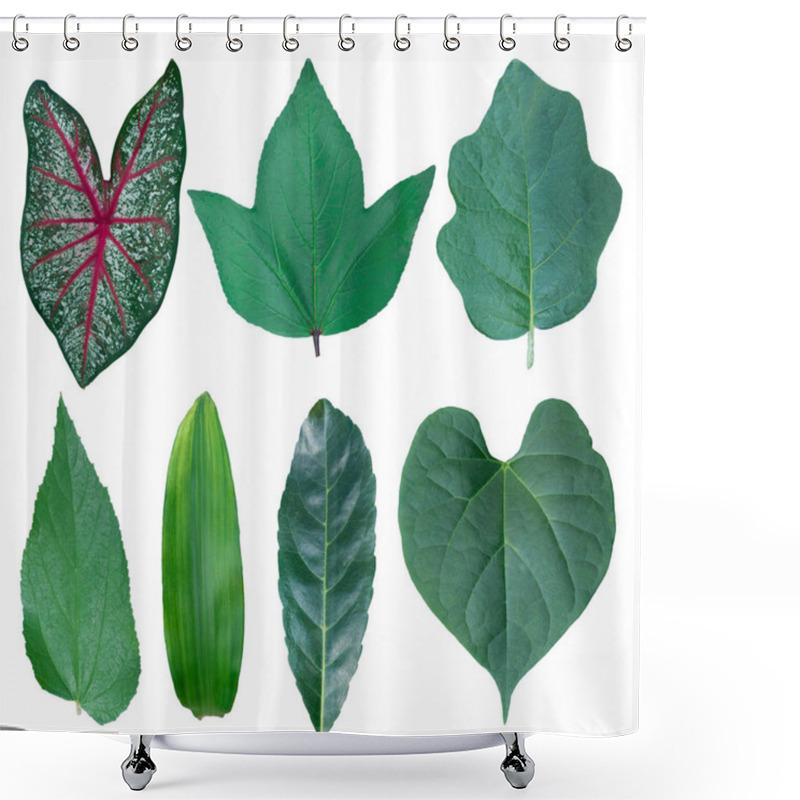 Personality  Different Tropical Leaves On White Background 2 Shower Curtains