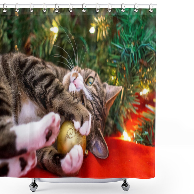 Personality  Christmas Cat Shower Curtains