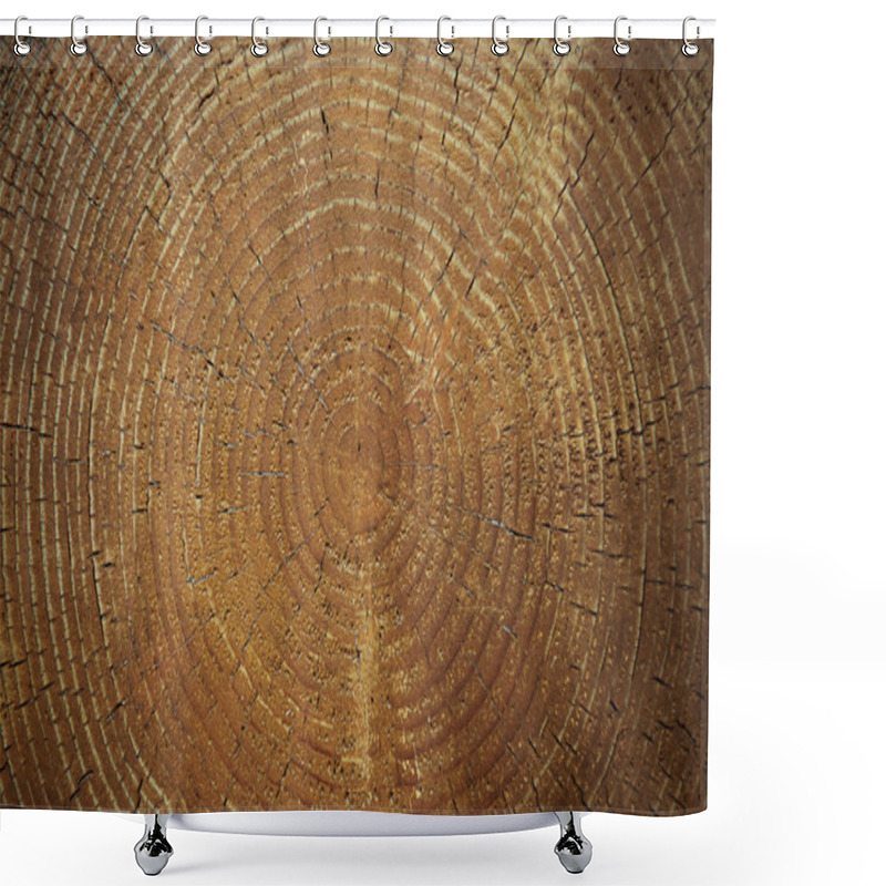 Personality  Cross Section Log Closeup Shower Curtains