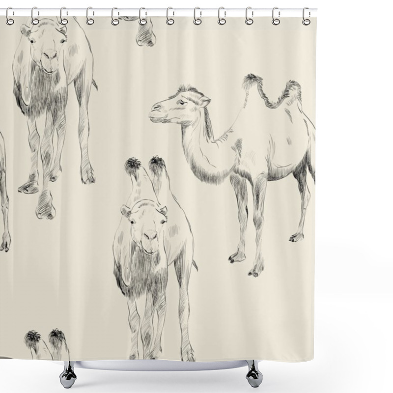 Personality  Hand Drawn Camel Shower Curtains