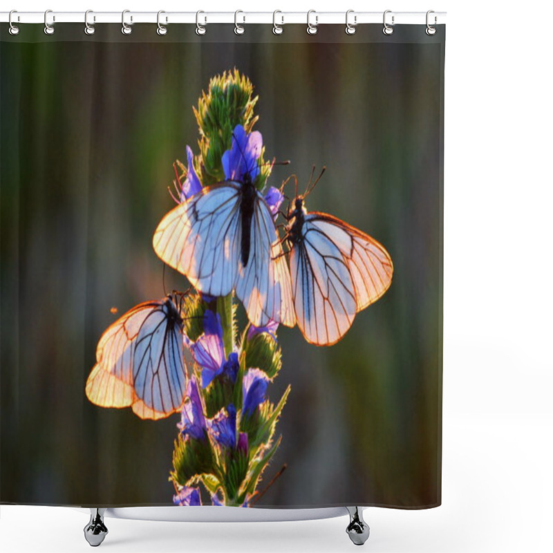 Personality   Insect Of The Steppes Shower Curtains