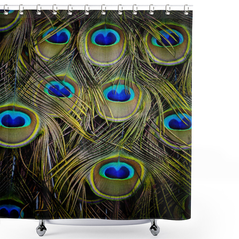 Personality  Peacock Green And Blue Plumage In Close Up. Shower Curtains