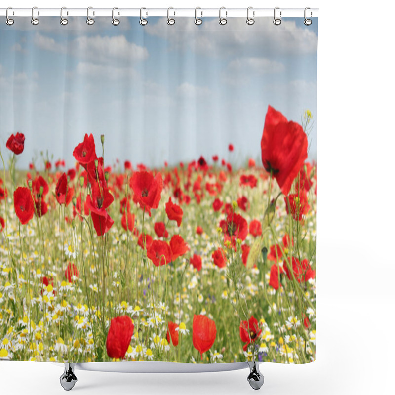 Personality  Poppy Flowers Field Nature Spring Scene Shower Curtains