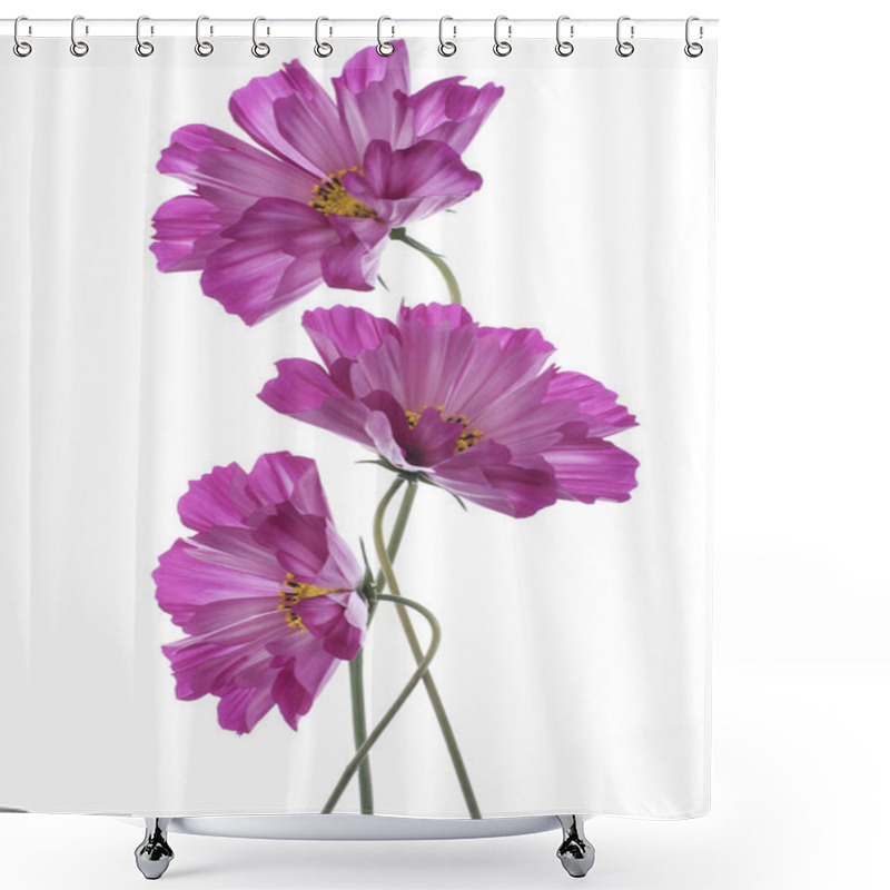 Personality  Cosmos Shower Curtains