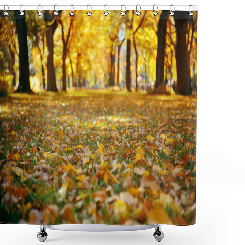 Personality  Central Park Autumn Shower Curtains