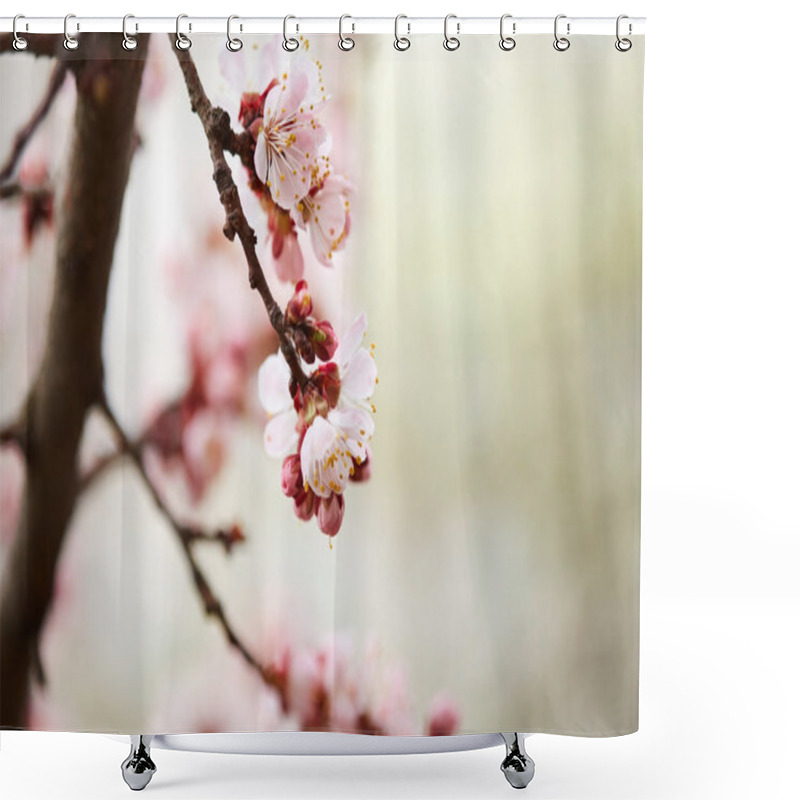 Personality  Spring Blossom Tree Shower Curtains