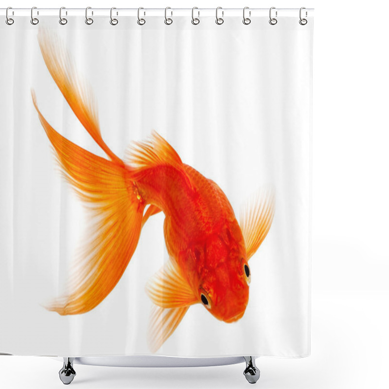 Personality  Gold Fish On White Background Shower Curtains