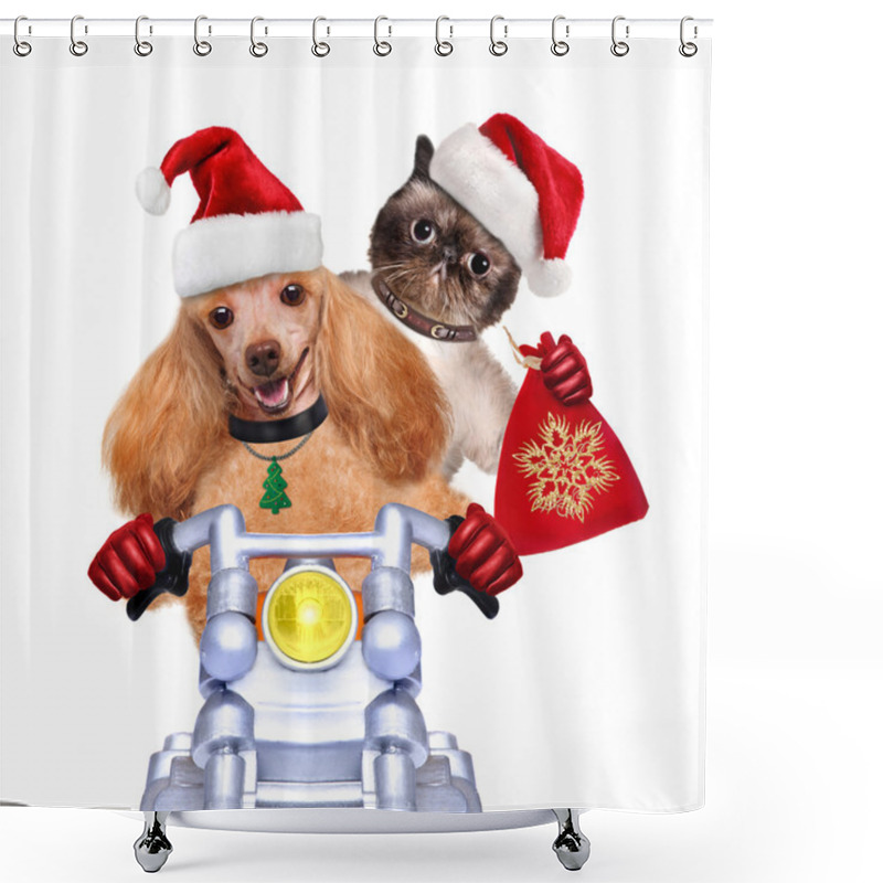 Personality  Cat And Dog In Red Christmas Hats Shower Curtains