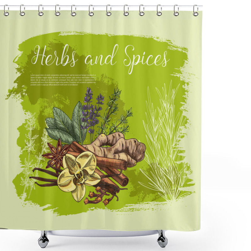 Personality  Herb And Spice Sketch Poster, Healthy Food Design Shower Curtains