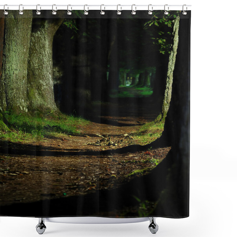 Personality  Forest Road In Autumn Shower Curtains