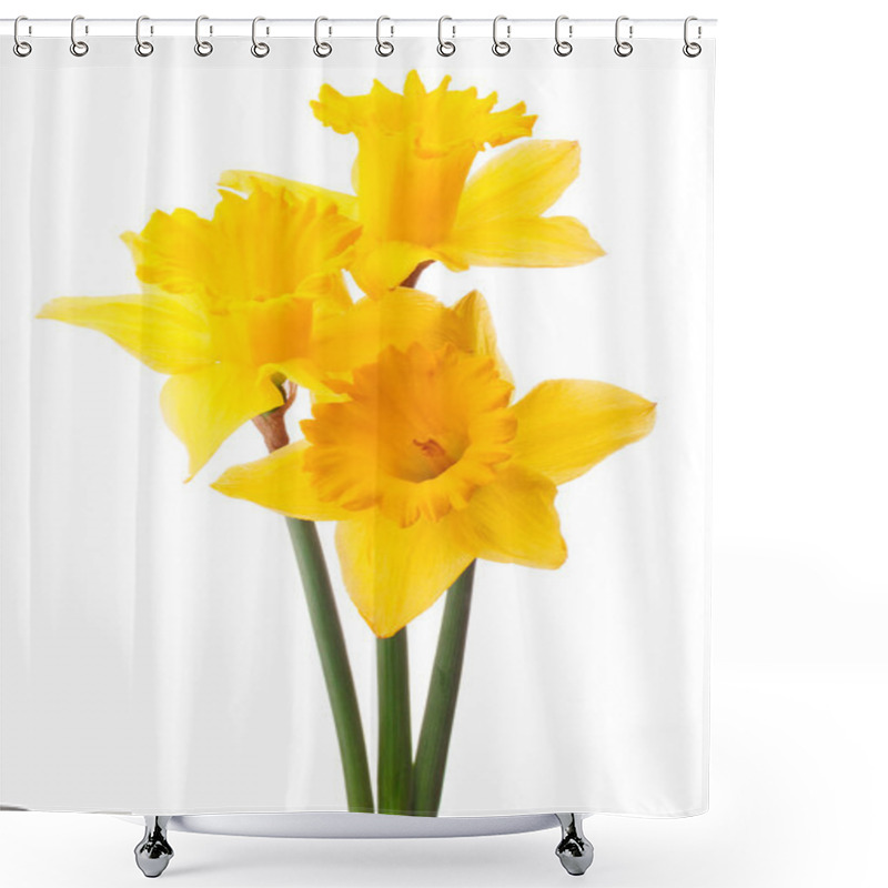 Personality  Daffodil Flower Or Narcissus Bouquet Shower Curtains